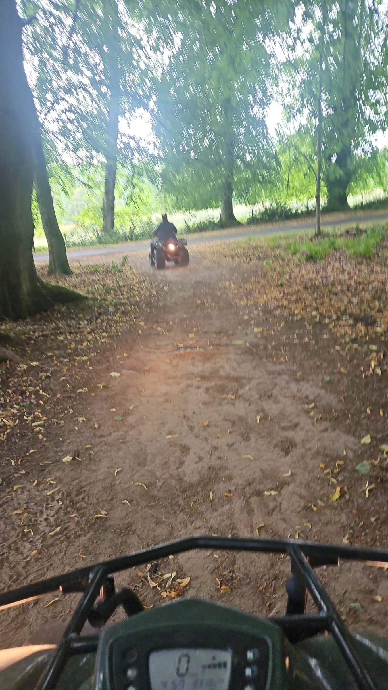 Quad biking along a forest track