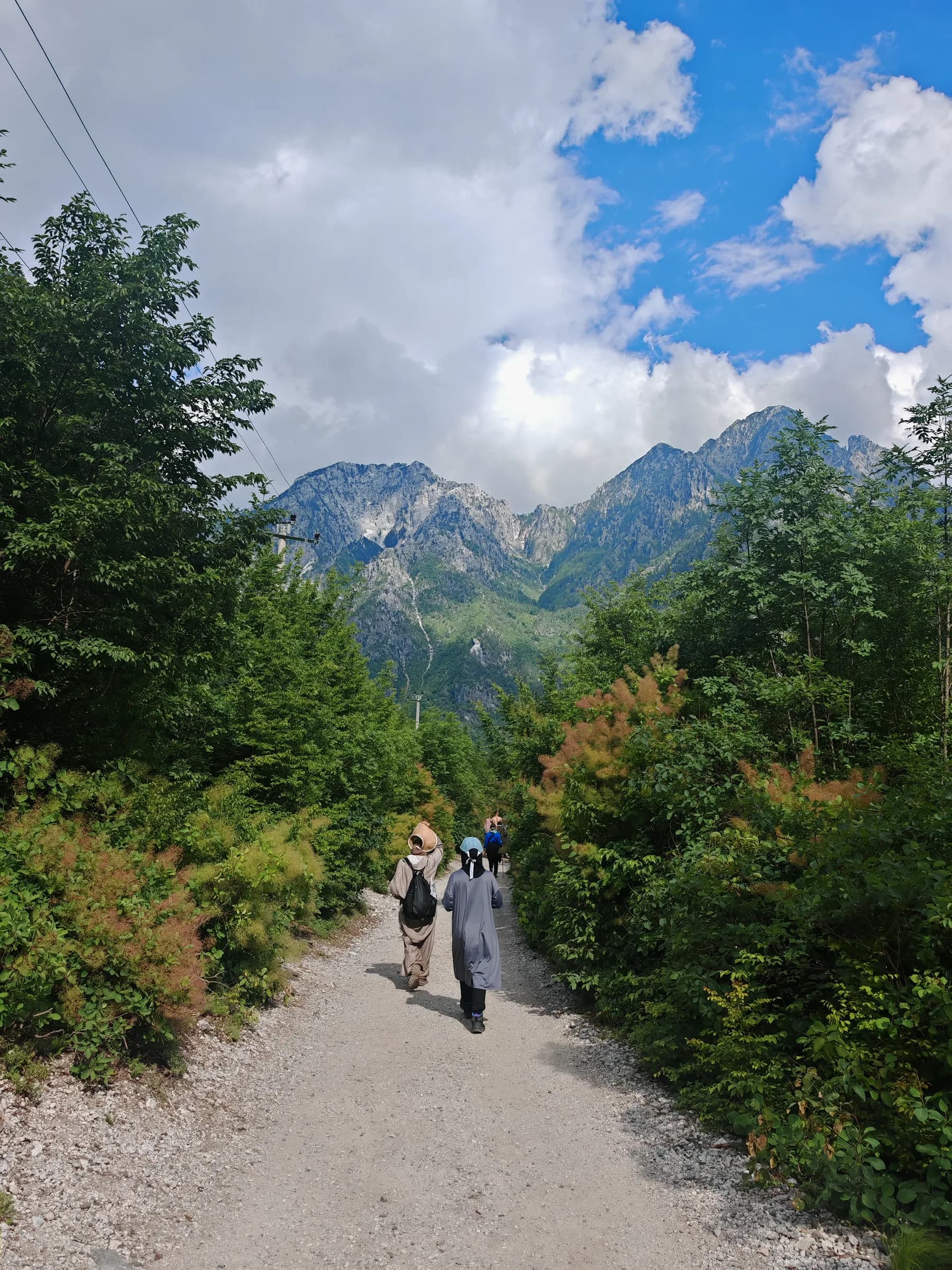 A trail leading through trees towards rocky peaks