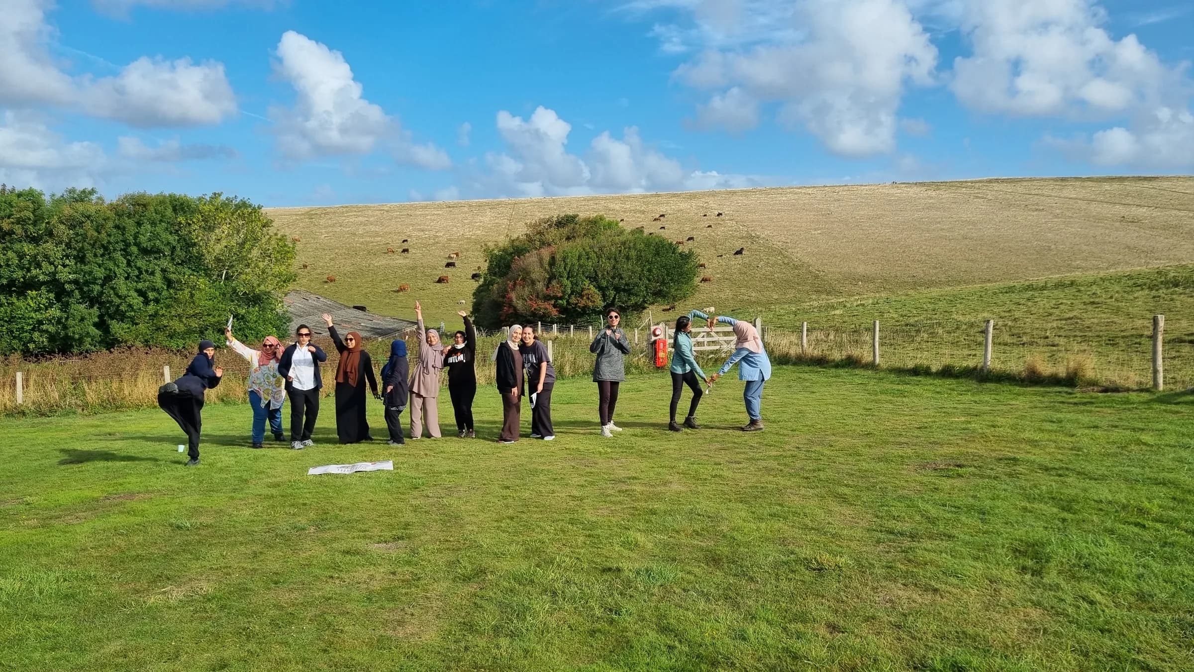 The group holding hands in a line across a grassy field