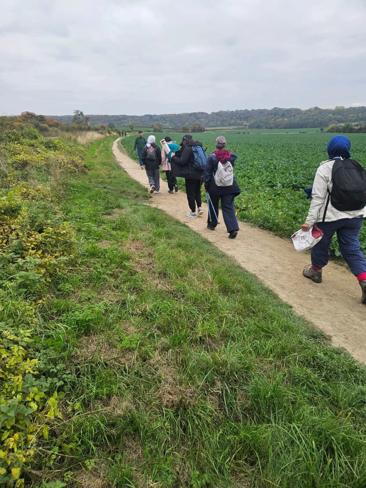 The group walking a path beside a field