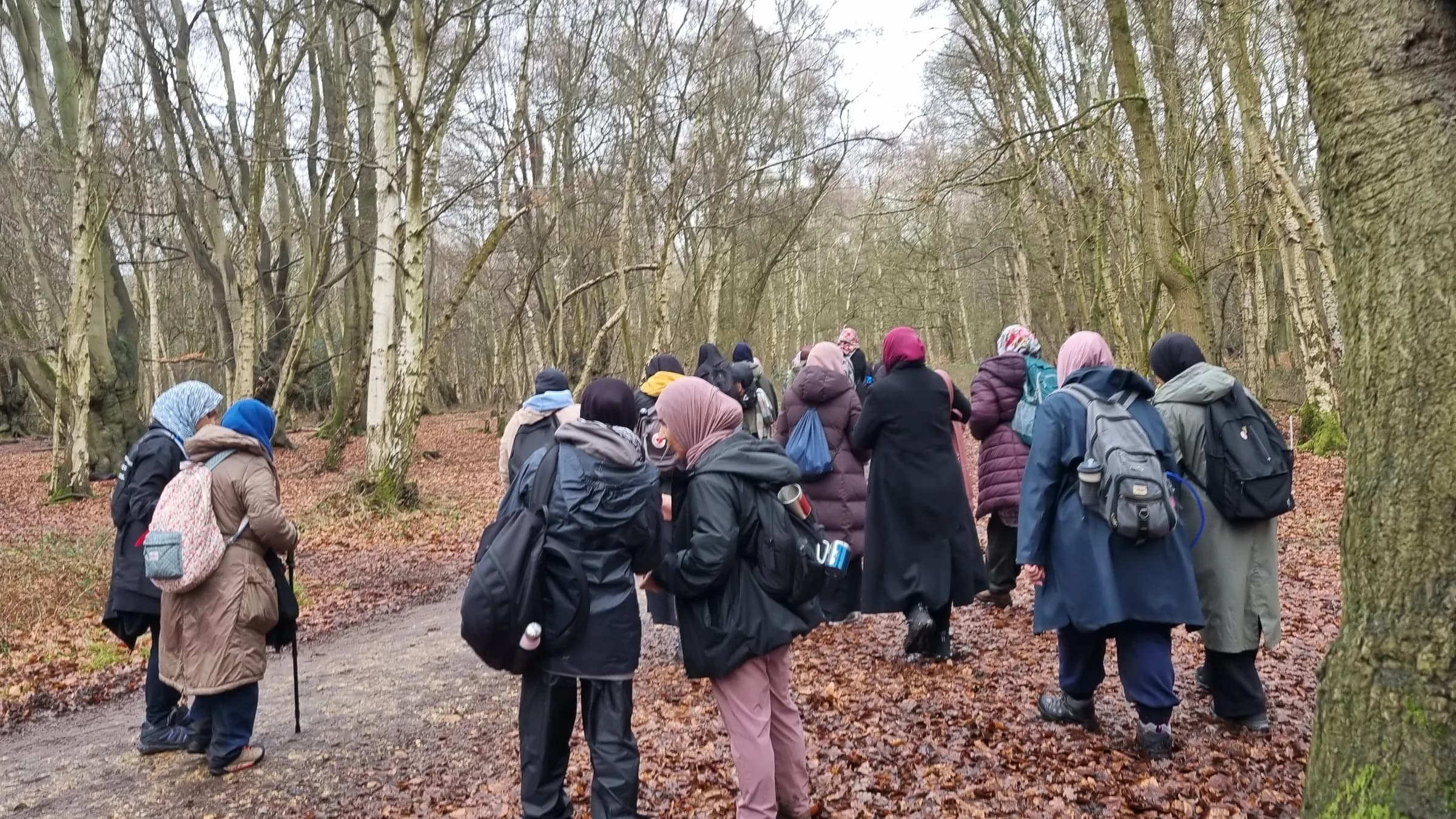 A big group of sisters on a winter woodland walk
