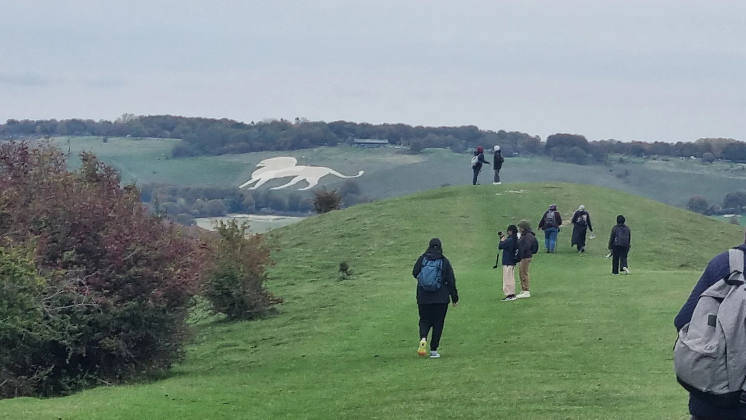 Walking across the downs towards the white lion chalk figure