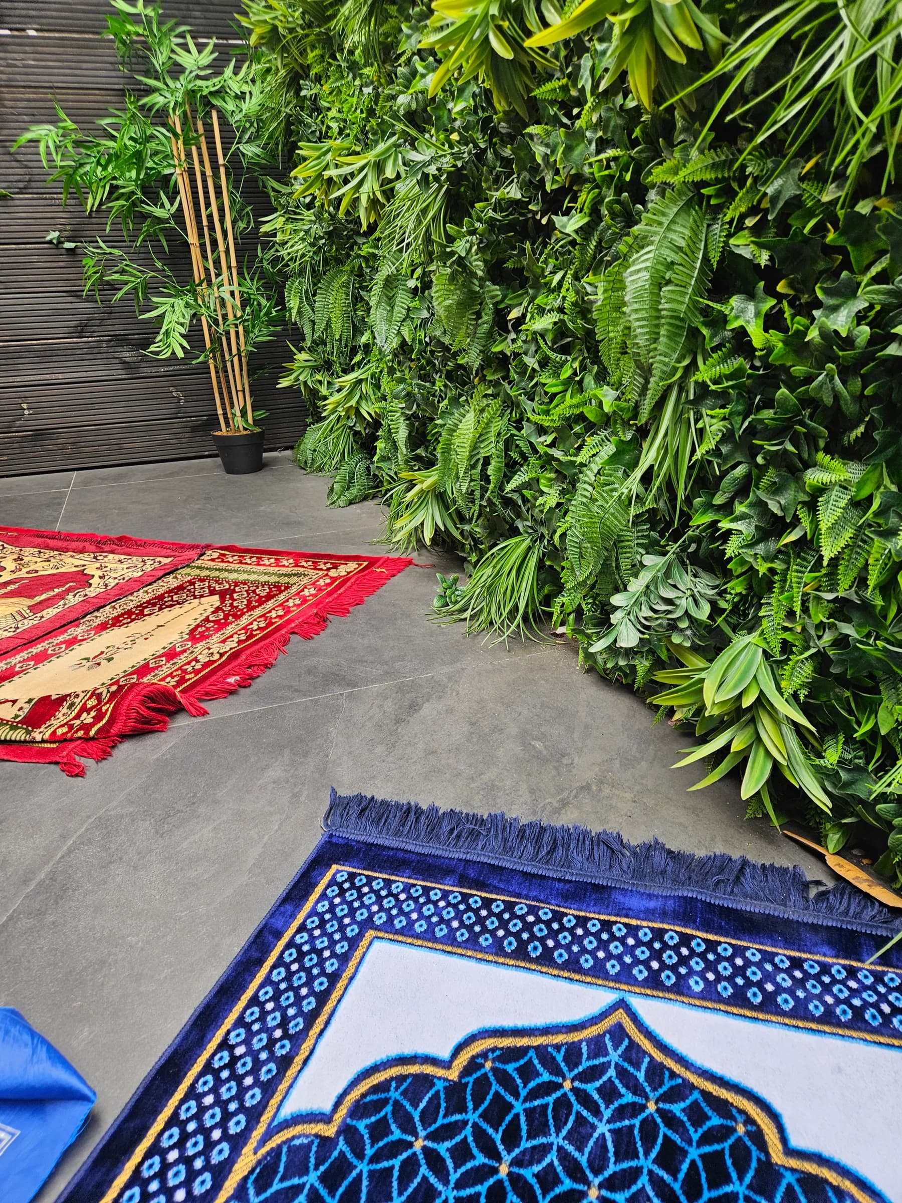 Prayer mats laid out for guests